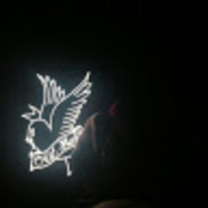 Meet your Posher, Tyriq